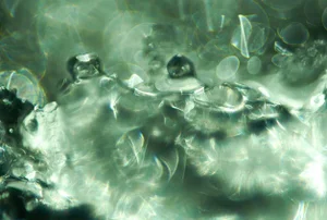 Marko Milić, Acid, Abstract Photography