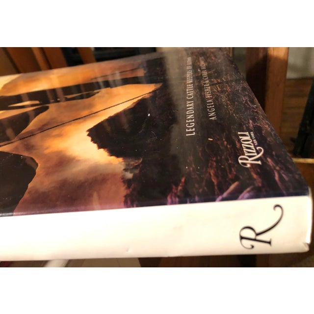Tribal 2010 Dinka: Legendary Cattle Keepers of Sudan Coffee Table Book, Rizzoli For Sale - Image 3 of 5