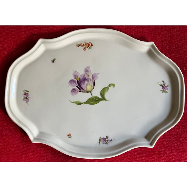 Nymphenburg Porcelain Antique 19th Century Nymphenburg Porcelain Tray or Platter Decorated With Parrot Tulip and Sprig Flowers For Sale - Image 4 of 7