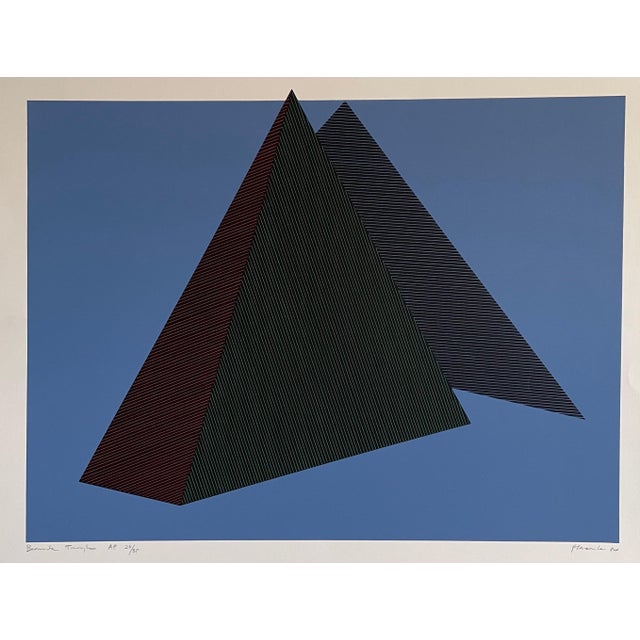 1980s Jean-Marie Haessle, Jean Marie Haessle Abstract Geometric Op Art Silkscreen Lithograph Print, 1980 For Sale - Image 5 of 6