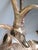 Mid-Century Modern 1960s Recumbent Brass Stag Saeiran Style For Sale - Image 3 of 7