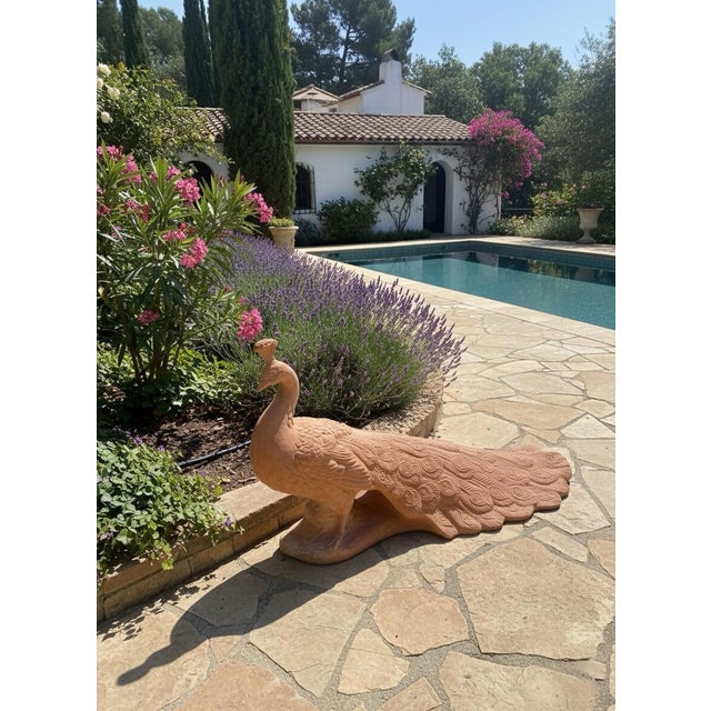 Tuscan Terra Cotta Peacock Garden Sculpture For Sale In West Palm - Image 6 of 11