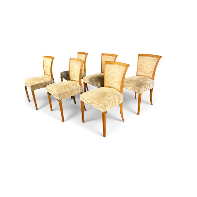 Brown Model 345 Dining Chairs by by Bruno Paul for VEB Deutsche Werkstätten Hellerau, 1935, Set of 6 For Sale - Image 8 of 8