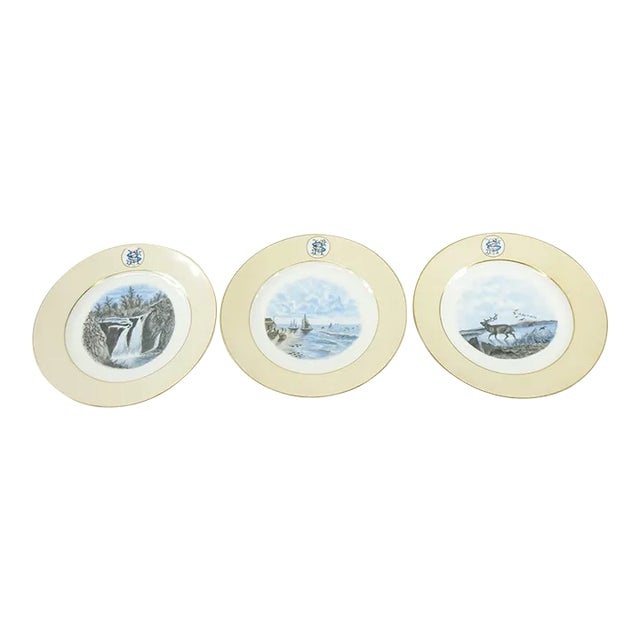 19th Century H&C Decorative Wall Hanging Plates - Set of 3 For Sale