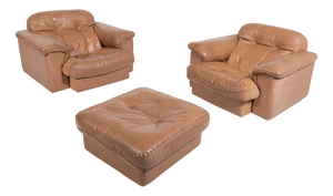 DS 101 Chairs & Ottoman from de Sede, Set of 3