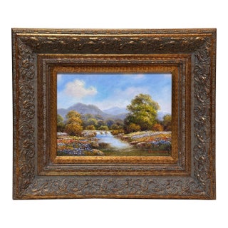 David W. Mayer Hill Country of Texas Original Oil on Canvas Landscape, Signed For Sale