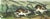 Original first edition Audubon stone lithograph from "The Viviparous Quadrupeds of North America", octavo edition, printed...