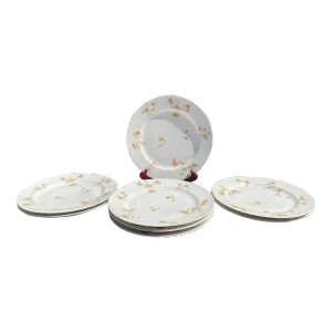 Set of 8 Haviland and Company Limoges Plates 1893-1931