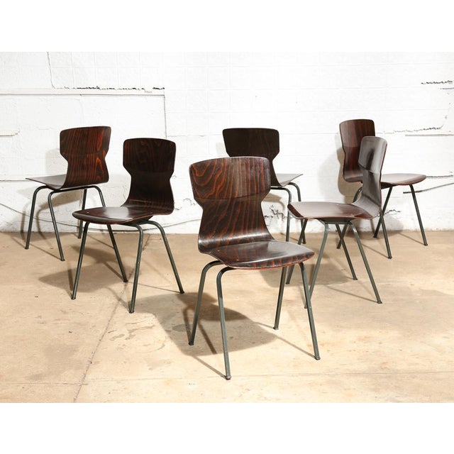 Set of 6 Vintage Bent Plywood Chairs | Chairish