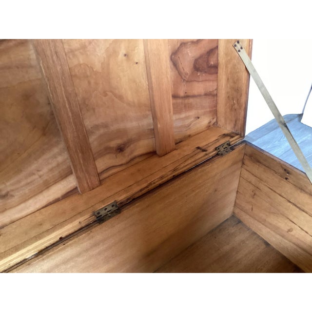 Mid-19th Century, Campaign Camphor Chest For Sale - Image 9 of 11