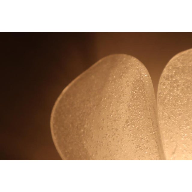 Hand Blown Ice Glass Wall Light by J. T. Kalmar, Germany, 1960s For Sale - Image 13 of 14