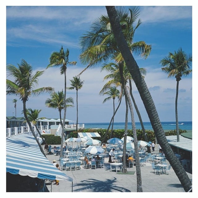 Florida Palms 1978 A view of palm trees at a beach resort in Boca Raton, Florida, April 1978. Slim Aarons Slim Aarons was...