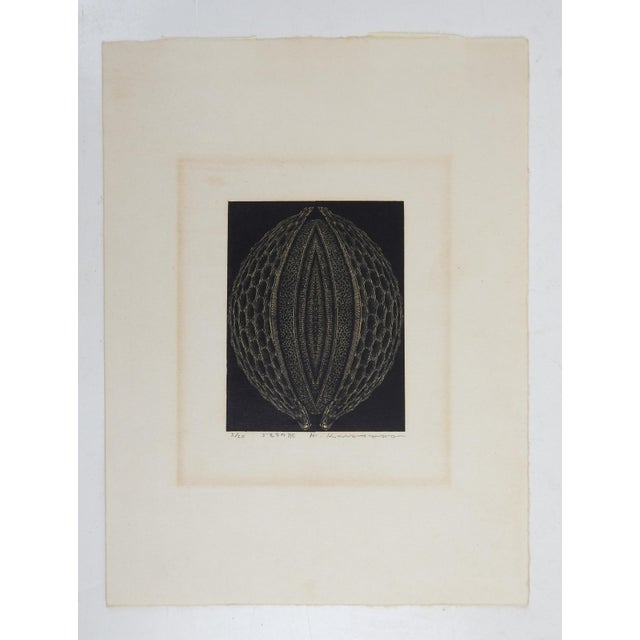 Contemporary Late 20th Century Karasawa Hitoshi Botanical Woodblock Print For Sale - Image 3 of 3