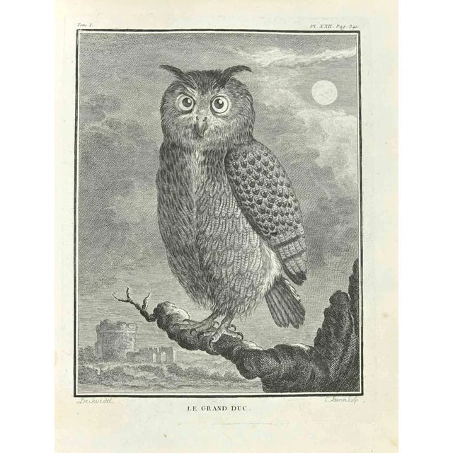 The Grand Duke is an etching realized by Jacques Baron in 1771. The artwork Belongs to the suite "Natural, general and...