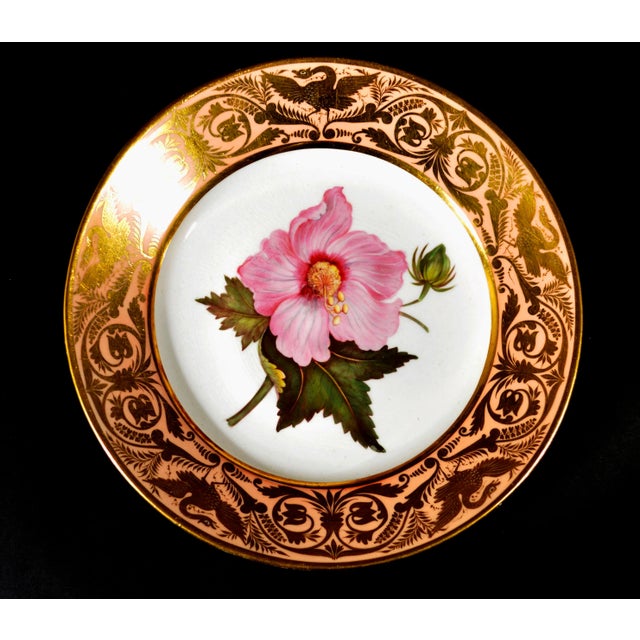 Antique Derby Porcelain Botanical Plate, Marsh Hibiscus, Salmon Ground With Gilt Swans, John Brewer, Circa 1815 For Sale - Image 9 of 12