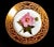 Antique Derby Porcelain Botanical Plate, Marsh Hibiscus, Salmon Ground With Gilt Swans, John Brewer, Circa 1815 For Sale - Image 9 of 12
