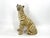 Hollywood Regency Hand-Painted Ceramic Leopard, Italy, 1960s For Sale - Image 3 of 8