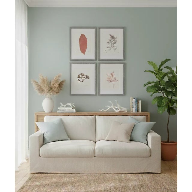 Archival giclée prints from the much celebrated "Nature-Printed British Seaweeds" collection of colored plates and...