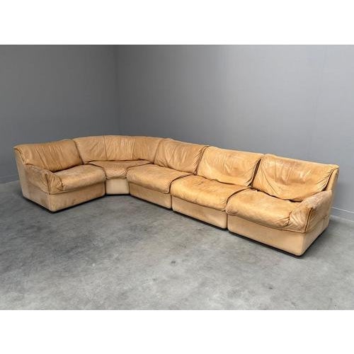 Modular Leather Lounge Sofa from Cor, 1970s, Set of 5 For Sale - Image 6 of 18