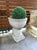 French Country 19th Century Two-Piece French Wall Fountain Basin in Burgundian Bluestone For Sale - Image 3 of 18