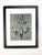 1920s Framed Antique Photogravure Blossfeldt Botanical Print - No. 43 For Sale - Image 5 of 5