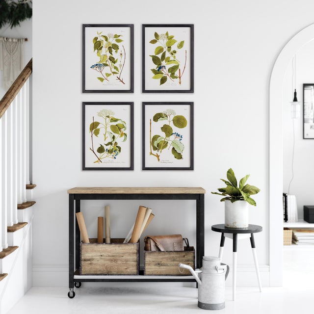 Kenneth Ludwig Chicago Floral And Berry Study, Set Of 4 For Sale - Image 4 of 4
