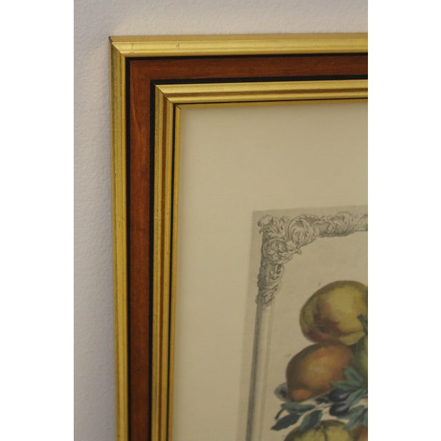 Colonial Williamsburg Dietz Press Botanical Print December Chairish