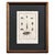 Early 19th Century Cabinet of Curiosities, Set of 9 | Buffon Natural History Engravings of Spiders, Insects & Reptiles For Sale - Image 11 of 11