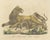 Karl Joseph Brodtmann, Lioness with Cubs, 1816, Lithograph For Sale - Image 3 of 10