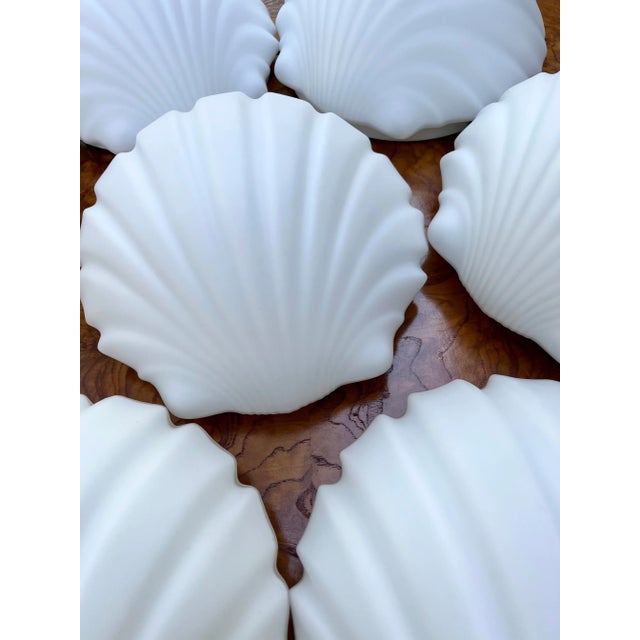 Mid Century German Glass Opaline Shell Sconces- a Pair For Sale In Tampa - Image 6 of 12