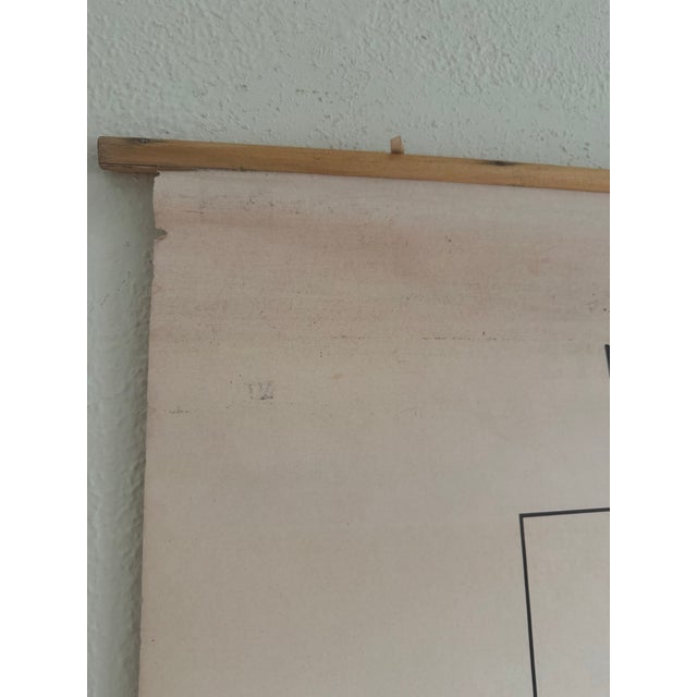 1960s Vintage 1969 Typing Instruction Pull-Down Chart – Secretary School Poster -- Poster G For Sale - Image 5 of 7