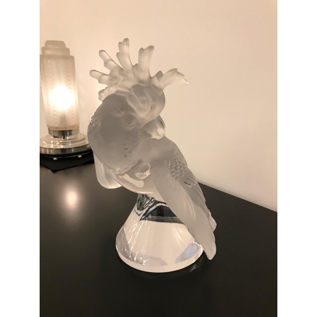 Lalique Lalique Crystal Sculpture Cockatoo Bird For Sale - Image 4 of 13