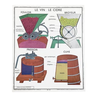 Vintage French Educational Double-Sided "Wine / Cider / Tractor & Farm Equipment" School Poster Chart For Sale