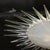 Modernist Brass Fitted Hand-Blown Murano Glass Starburst Spike Form Chandelier For Sale - Image 11 of 17