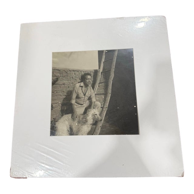 1950s Photograph Captures American Artist Fritz Scholder Alongside His Saluki Dog For Sale