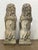 Pair of Cast Stone Armorial Lion Garden Statues From England - Two Available For Sale - Image 9 of 15