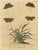E. Albin, Butterflies on Grasses with Caterpillar, Hand-Colored Engraving, 1720 For Sale