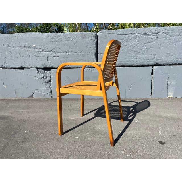 Wood Bentwood and Cane Arm Chair, 1960 For Sale - Image 7 of 13