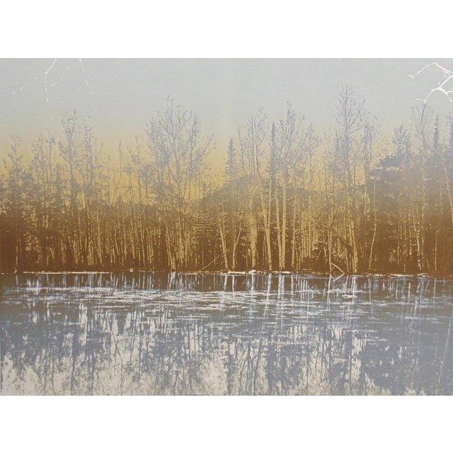 1980s Paula Crane "Reflections Series" Hand Signed Etching Art Print, Trial Proof Obo For Sale - Image 5 of 5