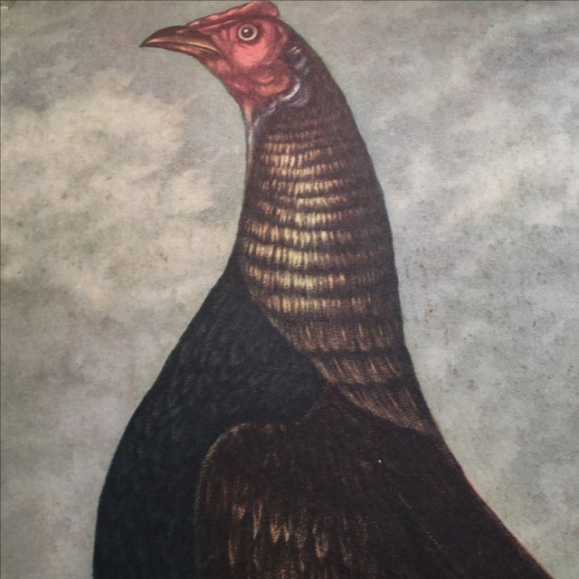 French Provincial 1952 Fighting Cock Gentry Magazine Cover For Sale - Image 3 of 4