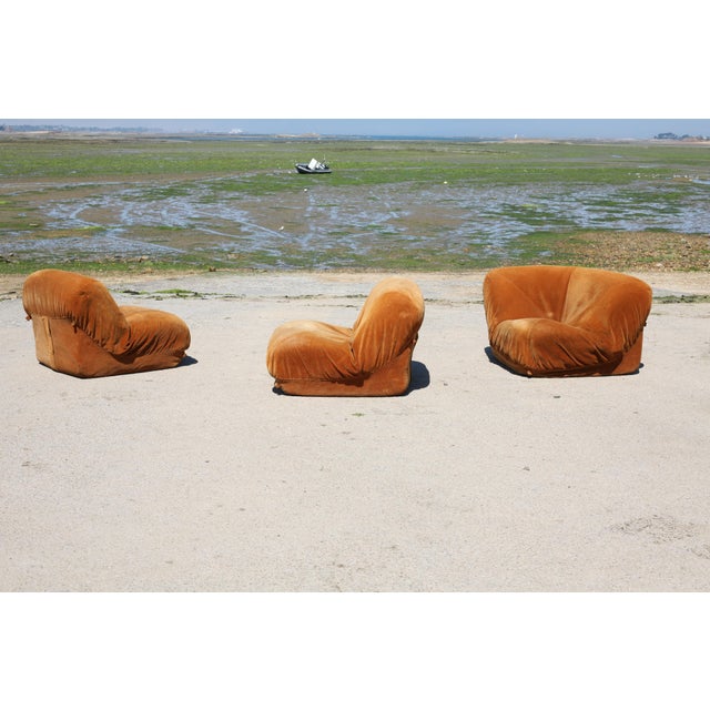 Vintage Modular Patate Sofa, 1970s, Set of 3 For Sale - Image 11 of 18