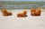 Vintage Modular Patate Sofa, 1970s, Set of 3 For Sale - Image 11 of 18