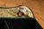 Mid 20th Century Mid 20th Century Wrigleys Chewing Gum General Store Counter Display For Sale - Image 5 of 10