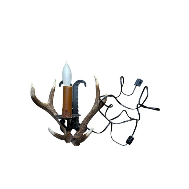 Vintage 1950s Antler Sconce For Sale - Image 4 of 5