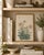 Paper Daisy by Keika Hasegawa, Vintage Japanese Botanical Art Print, 12" X 18" For Sale - Image 7 of 8