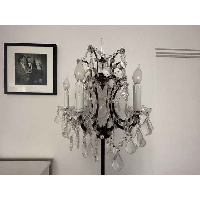 2000 - 2009 Restoration Hardware Rococo Iron & Clear Crystal Floor Lamp Rh For Sale - Image 5 of 6