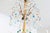 Italian 18th Century Massive Giltwood and Crystal Chandelier For Sale - Image 4 of 10