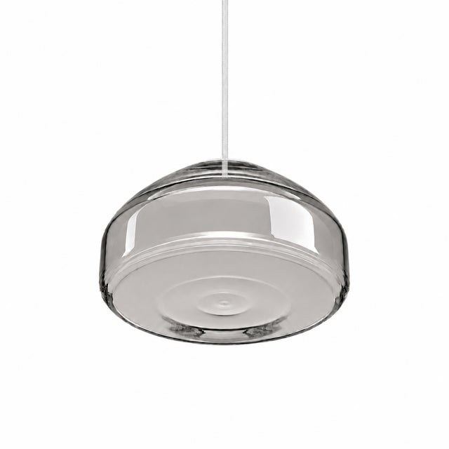 Crafted with high visual clarity, this modern pendant lamp features a sleek silhouette hand-blown from premium glass in a...