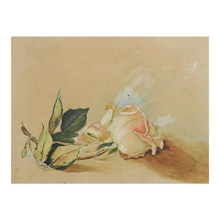 Pink Rose Watercolor Painting For Sale