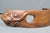 Wood Modern Signed Nengah Sudarsana Balinese Suar Wood Lizard Wine Bottle Holder For Sale - Image 7 of 13